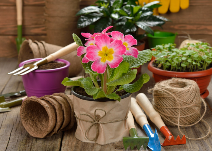 Most Beautiful And Useful Garden Gifts Ideas